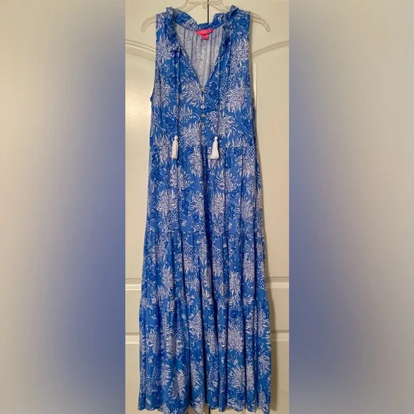 Lilly Pulitzer Blue and White Malone Maxi Dress. Size L